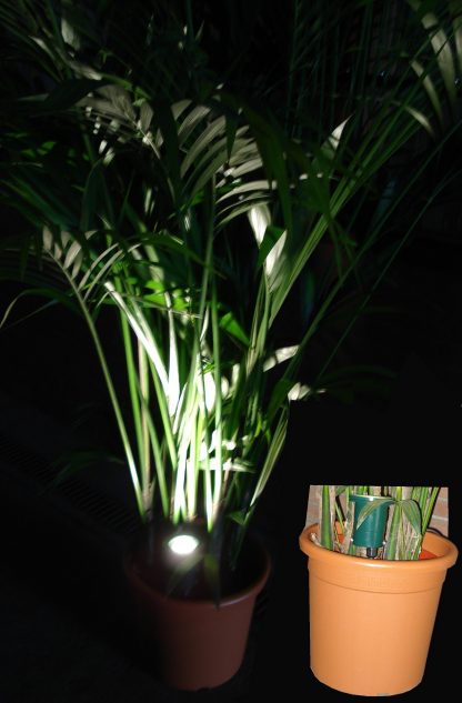 Foto van Plantenspot LED 5 watt vloerplaatje