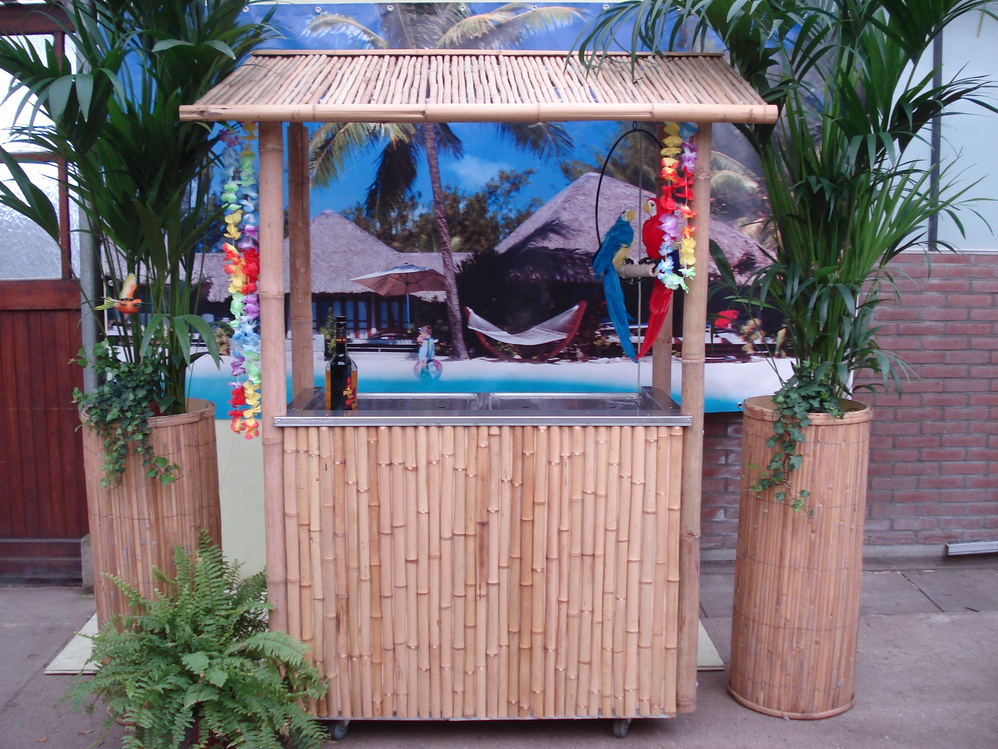 Enzovoorts Voorwaardelijk Stewart Island Bamboe bar met koeling 280 liter - www.Palmen.NL - verhuur van palmen en  themadecoraties